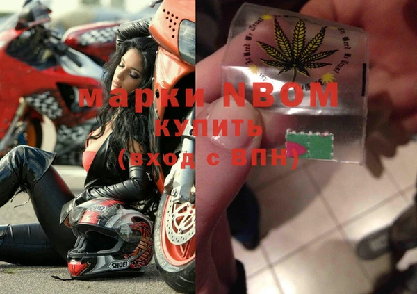 крисы Заводоуковск
