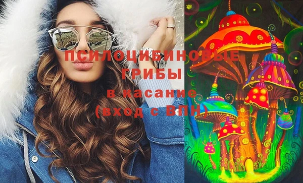крисы Заводоуковск