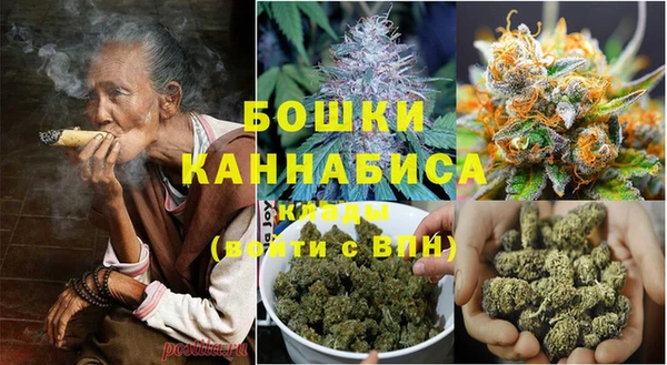 крисы Заводоуковск
