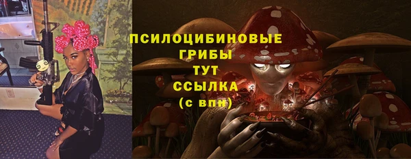 мдпв Заволжск
