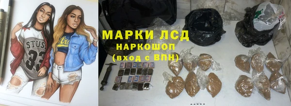 крисы Заводоуковск