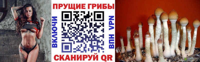 Купить где  Пыталово  Галлюциногенные грибы мухоморы 